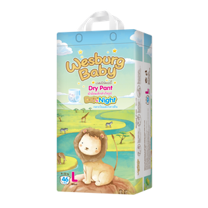 Wesburg Baby Day & Night Dry Pants Size M Midi 54 Pieces Pack